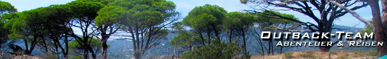 flexheader3